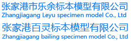 人體標(biāo)本模型