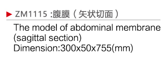 ZM1115 腹膜矢狀切